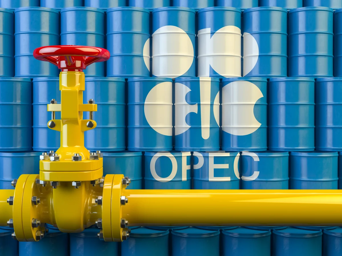 Körfəz ölkələri OPEC+un neft hasilatını azaltmaq qərarını dəstəkləyib