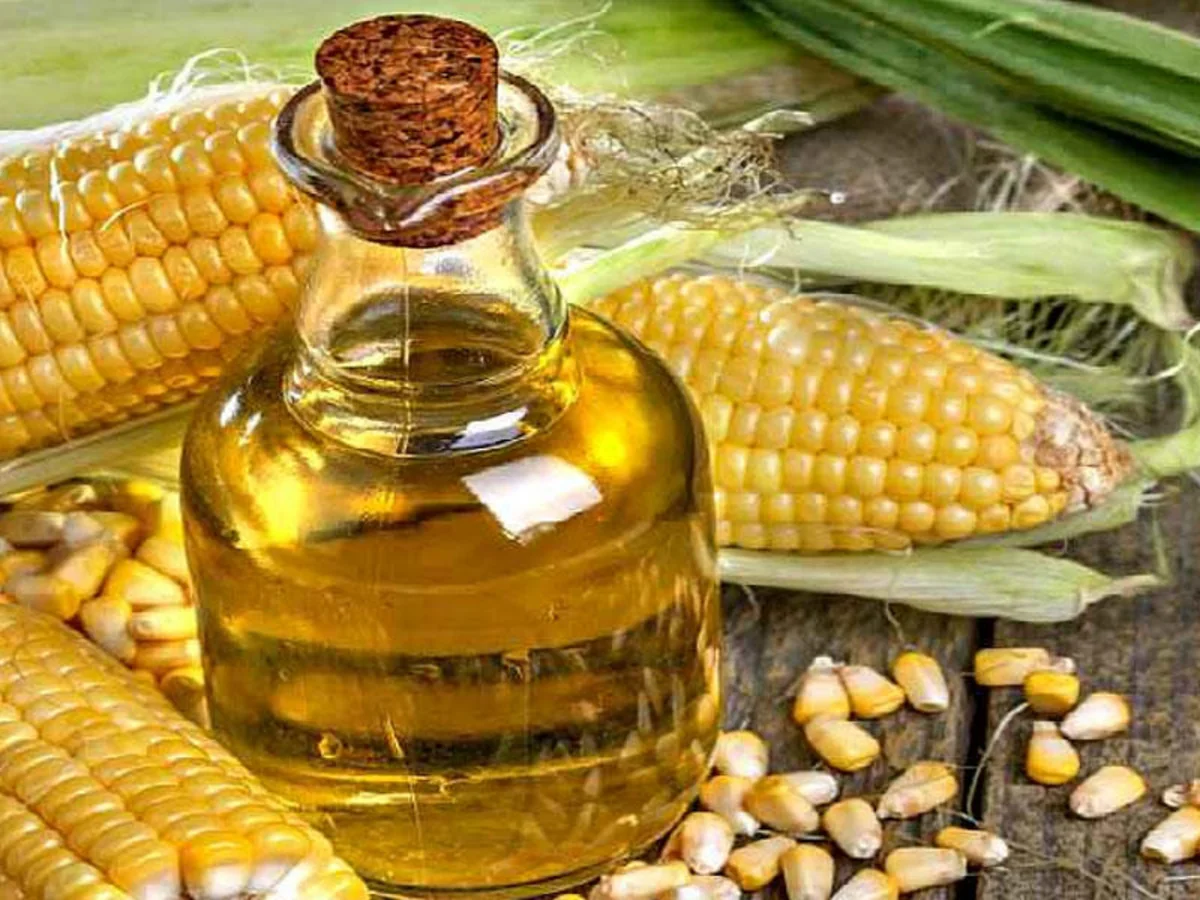 Azerbaijan resumes corn oil exports to Belarus