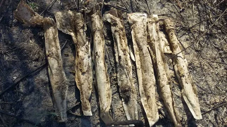 Naftalanda 10 raket tapılıb