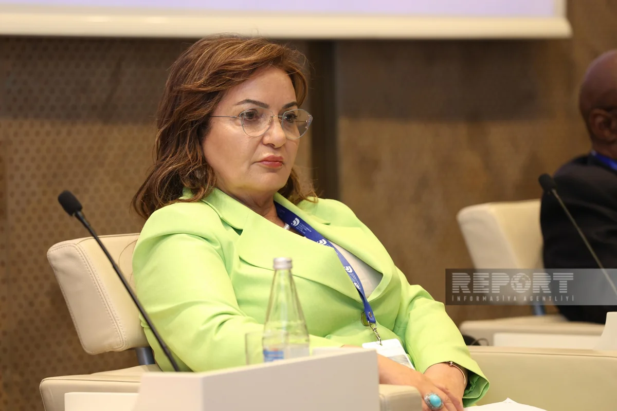 Aygün Attar: İkili standartlardan çıxış edənlər Azərbaycan təbiətinə dəyən ziyanı niyə görmürlər?