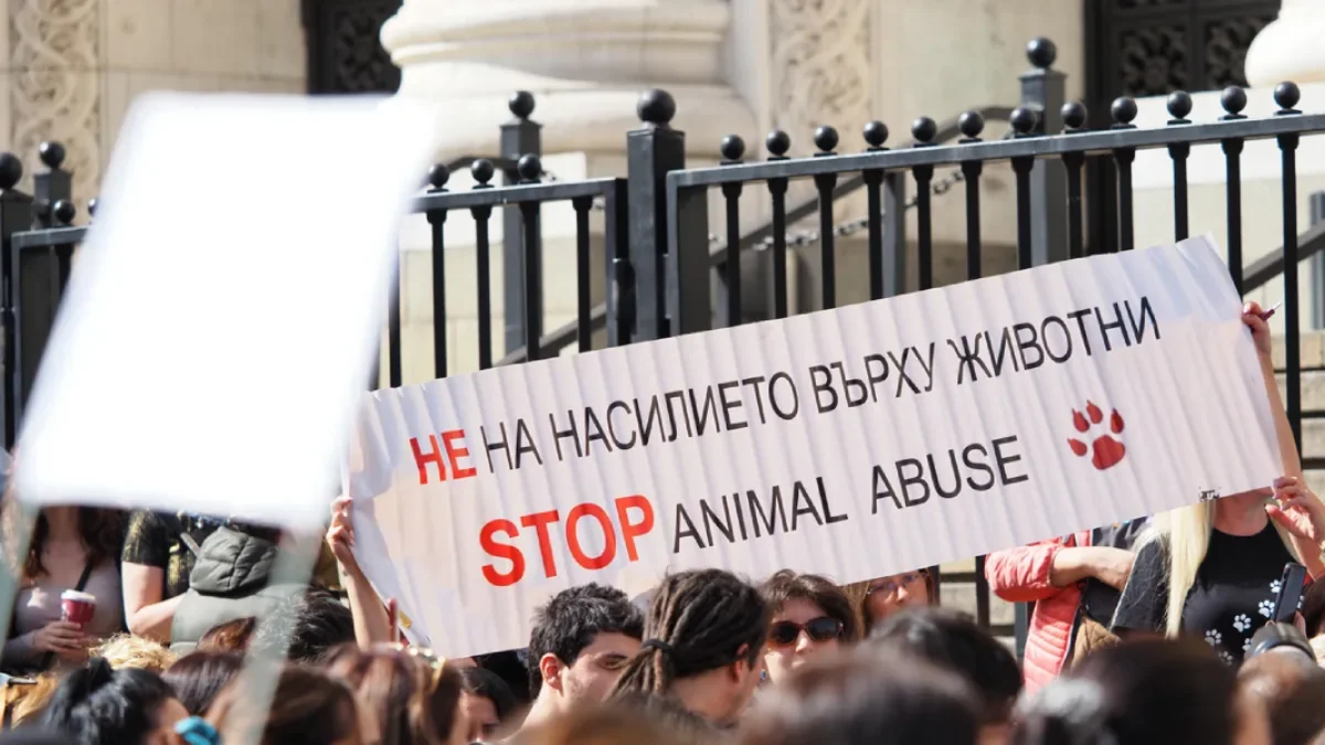 Protests take place in 20 towns in Bulgaria against animal abuse