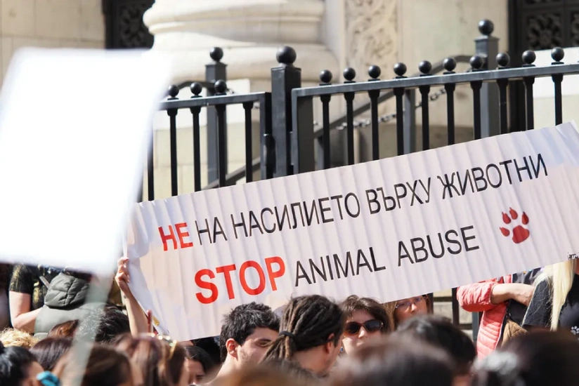 Protests take place in 20 towns in Bulgaria against animal abuse