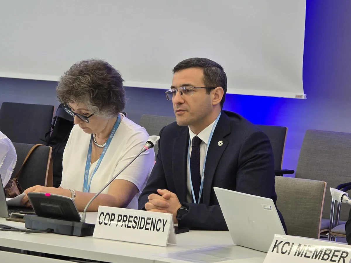 COP29 presidential envoy in Bonn outlines climate change response