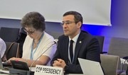 Представитель президента COP29 в Бонне рассказал о мерах реагирования на изменение климата