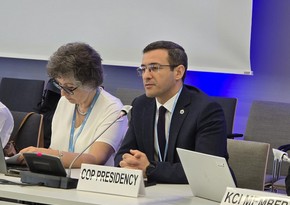 COP29 presidential envoy in Bonn outlines climate change response