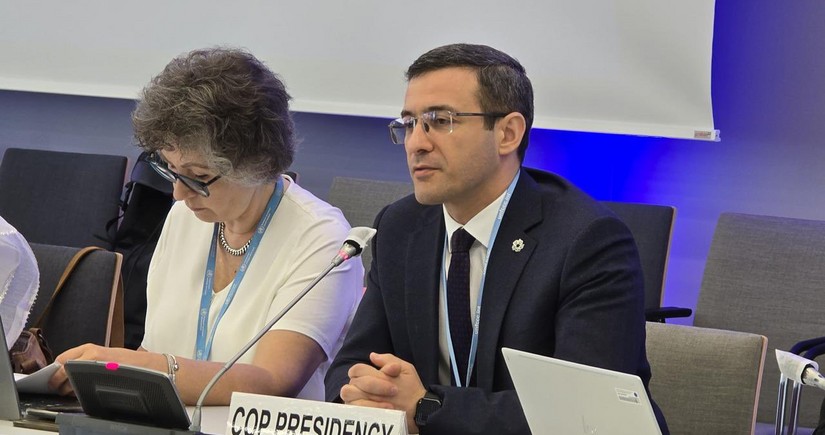 COP29 presidential envoy in Bonn outlines climate change response