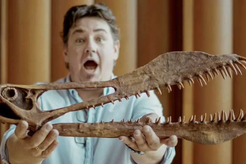 В Австралии нашли окаменелость птерозавра с размахом крыльев в семь метров