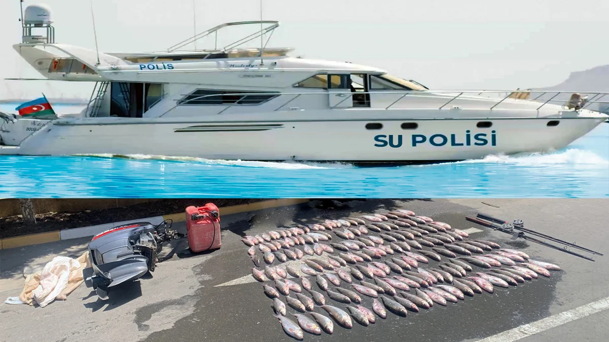 Su polisi Xəzərdə körpə balıqları ovlayan şəxsləri saxlayıb