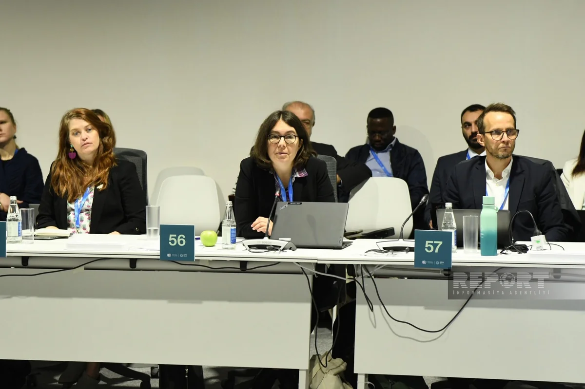 Global Water Crisis: Over 2B people lack access to safe drinking water