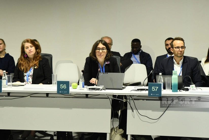 Соня Коппель: В мире свыше 2 млрд человек лишены доступа к безопасной питьевой воде  