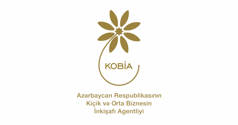 ICD və KOBİA Azərbaycana birbaşa xarici investisiyaların cəlb edilməsini müzakirə edib