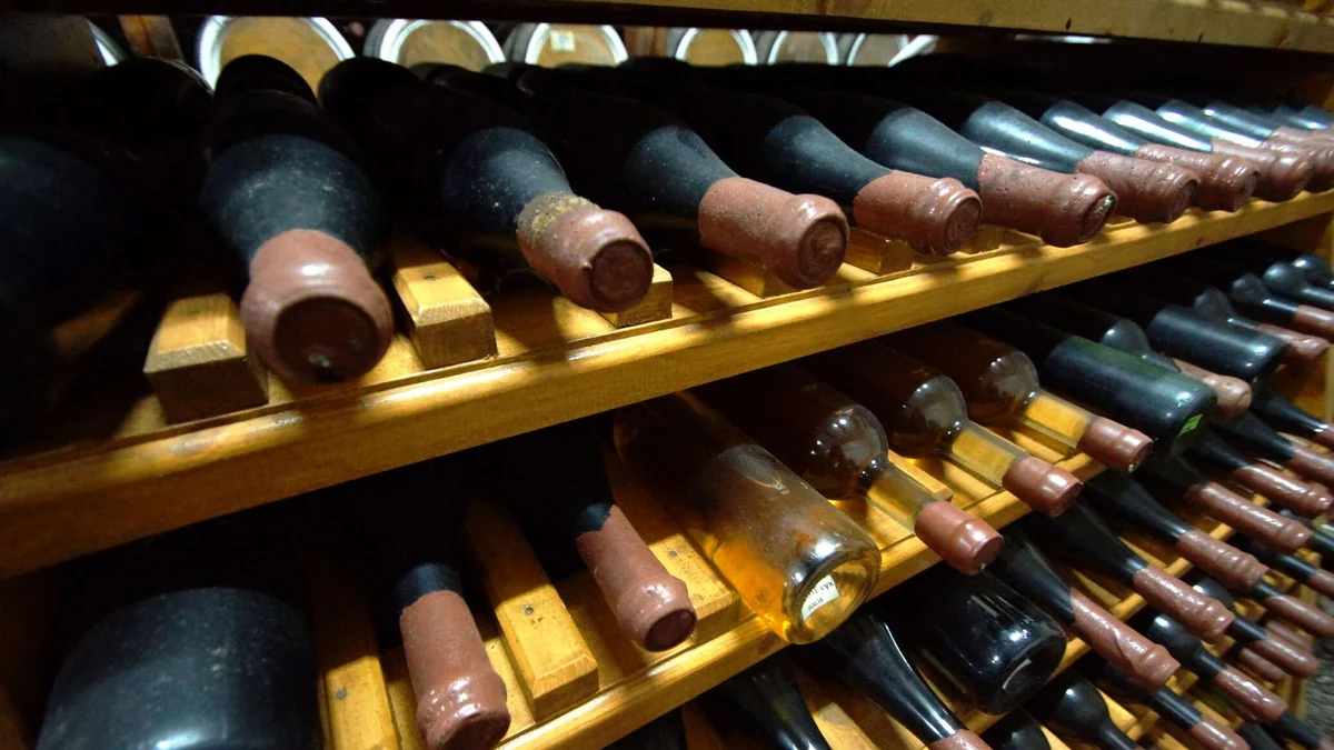 Azərbaycanın Ukraynada şərab zavodu var