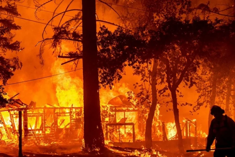 Türkiyədə meşə yanğınları qurbanlarının sayı 8-ə yüksəlib