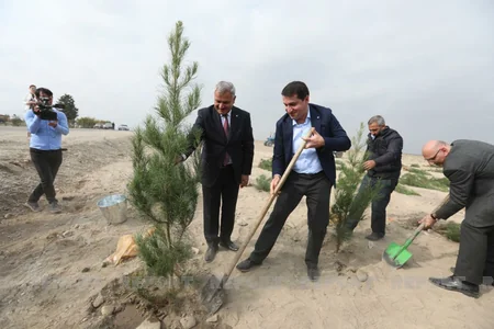 Представители дипкорпуса посадили деревья в Тертере