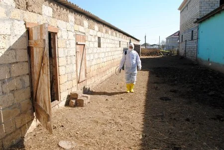 Biləsuvarda profilaktik tədbirlər davam etdirilir