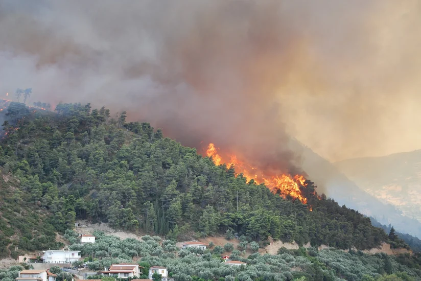 ETSN: Bu il Azərbaycanda meşə və çöl ərazilərində 19 yanğın hadisəsi baş verib