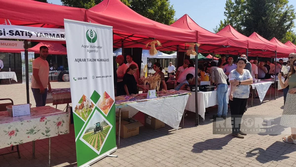 Şəkidə Aqrar İnnovasiya Festivalı və toxum yarmarkası keçirilib