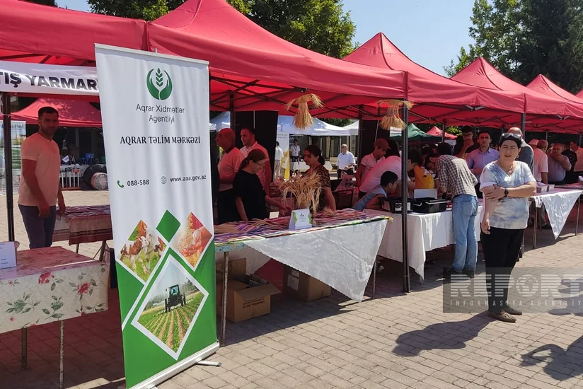Şəkidə Aqrar İnnovasiya Festivalı və toxum yarmarkası keçirilib