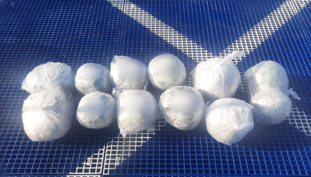 Xəzər dənizində 12 kq-dan artıq narkotik aşkarlanıb