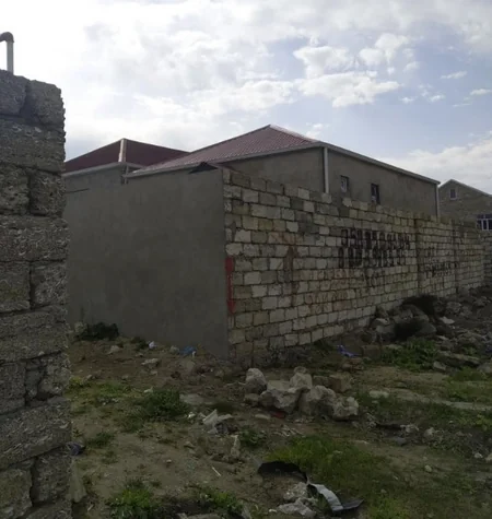 Asan qazanc hərisliyi COVID-19-dan daha yaşlı və qorxuludur - ARAŞDIRMA