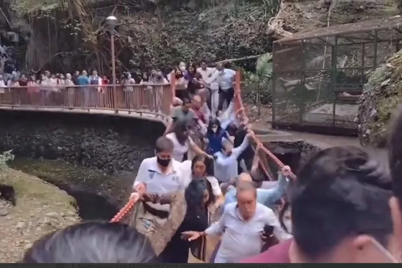 В Мексике обрушился подвесной мост, ранены 25 человек