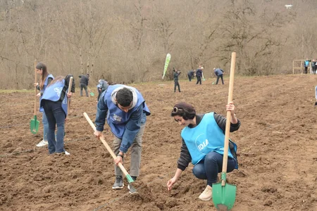 “Yaşıl Marafon” çərçivəsində Qubada meşəsalma aksiyası keçirilib