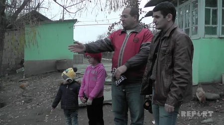 ​Xəzərin sahilində Azərbaycan üçün xarakterik olmayan heyvanlar peyda olub - FOTO