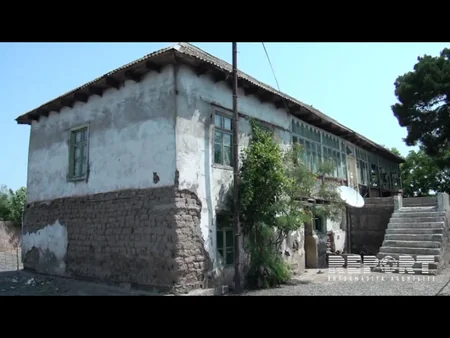 Змеи заполонили дом жителя Имишли - ФОТО
