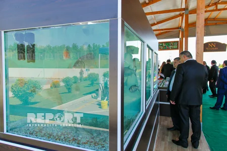 Bakıda XXI Azərbaycan Beynəlxalq Qida Sənayesi Sərgisi - FOTOREPORTAJ