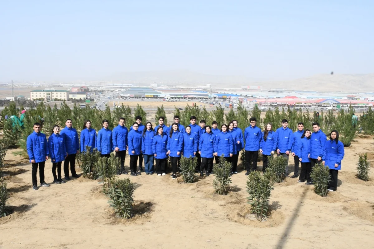 Bakı Şəhər İcra Hakimiyyəti ağacəkmə aksiyası keçirib