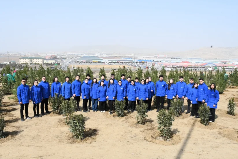 Bakı Şəhər İcra Hakimiyyəti ağacəkmə aksiyası keçirib