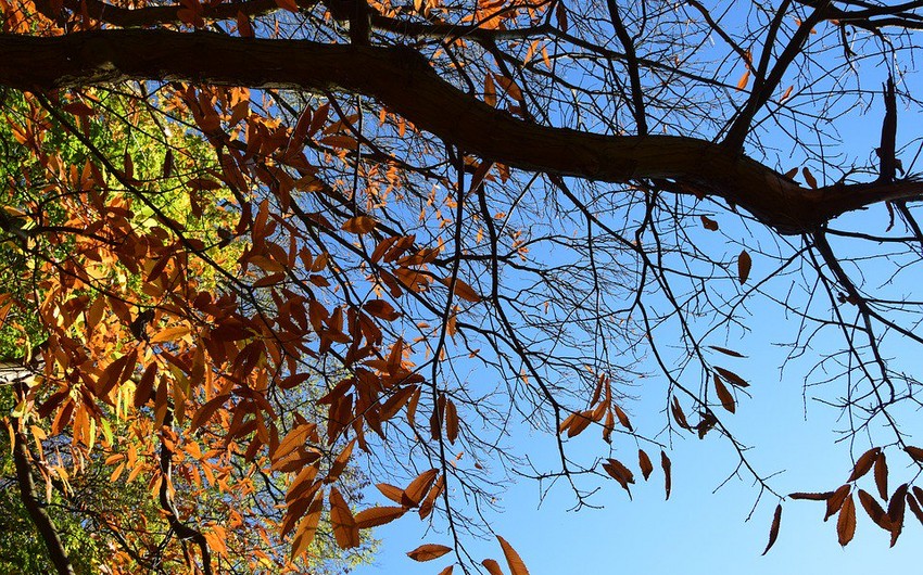 Weather forecast in Azerbaijan for October was announced