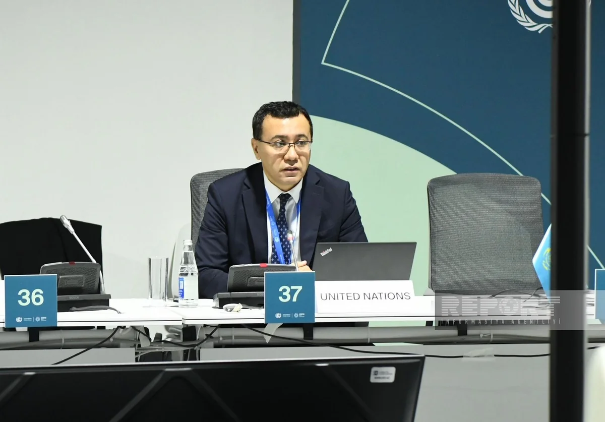 UN expert: International freight has huge share in global emissions