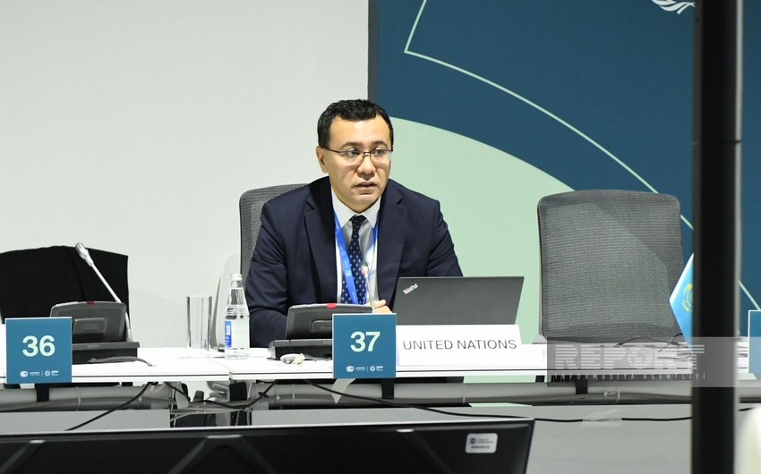 BMT-nin eksperti: “Qlobal emissiyalarda beynəlxalq yüklərin payı çox böyükdür”