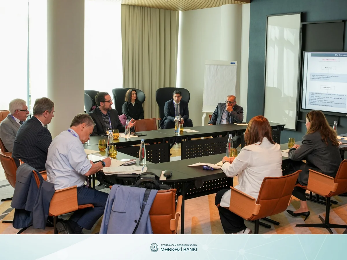 Azərbaycanın mikromaliyyə modeli üzrə strateji çərçivə müzakirə edilib