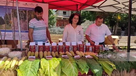 Şəkidə Aqrar İnnovasiya Festivalı və toxum yarmarkası keçirilib