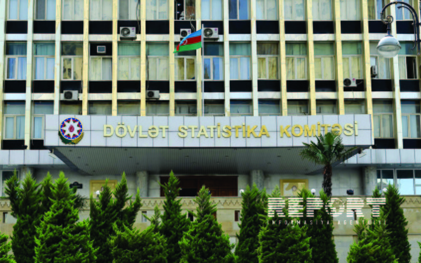 ​Naxçıvanda ailə başçısının itirilməsinə görə pensiya alanların sayı açıqlanıb