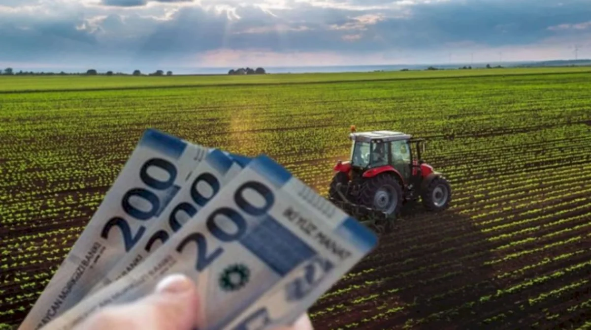 AKİA ötən il işğaldan azad edilmiş ərazilərdə 20 milyon manat subsidiya ödəyib