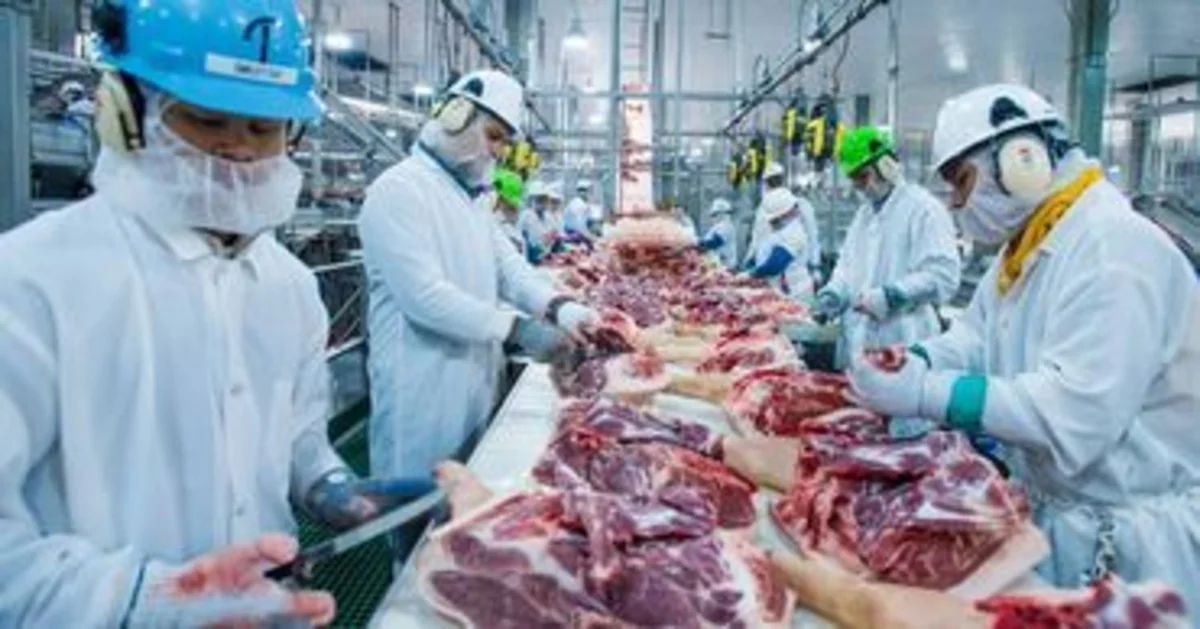 На мясокомбинате в Германии коронавирусом заразились около 600 человек