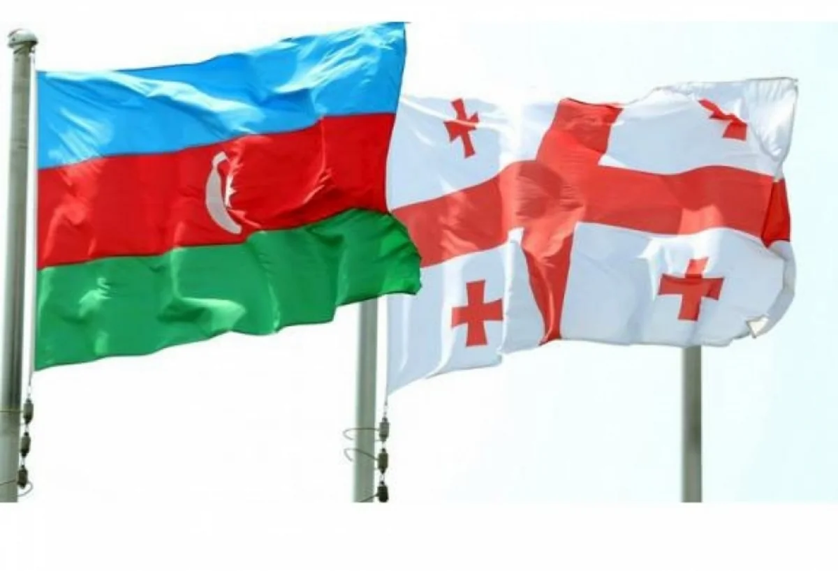 Gürcüstan və Azərbaycan bu gün regional güc mərkəzinə çevriliblər – RƏY