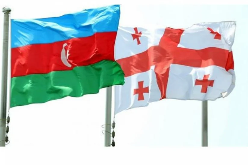 Gürcüstan və Azərbaycan bu gün regional güc mərkəzinə çevriliblər – RƏY