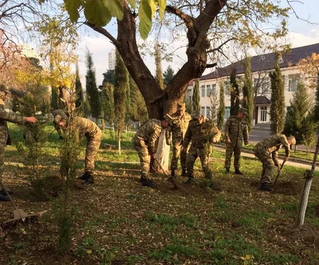 Azərbaycan Ordusunda ağacəkmə aksiyası davam edir