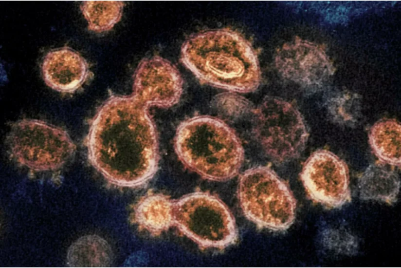 Стало известно об опасной мутации коронавируса