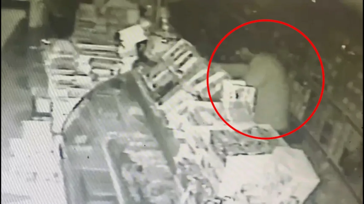 Göygöldə mağazalardan 12 min manatlıq oğurluq edilib