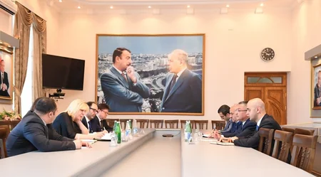 Qaçqınkom sədri Avropa Şurasının komissarı ilə görüşüb