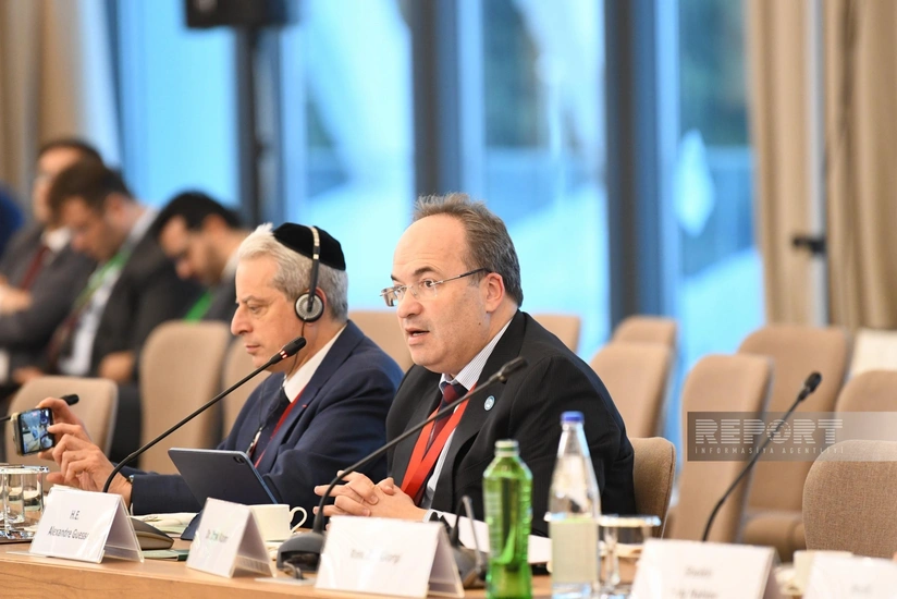 Avropa Şurasının xüsusi nümayəndəsi: İqlim dəyişikliyi ilə mübarizədə Azərbaycanın möhkəm siyasi iradəsi var