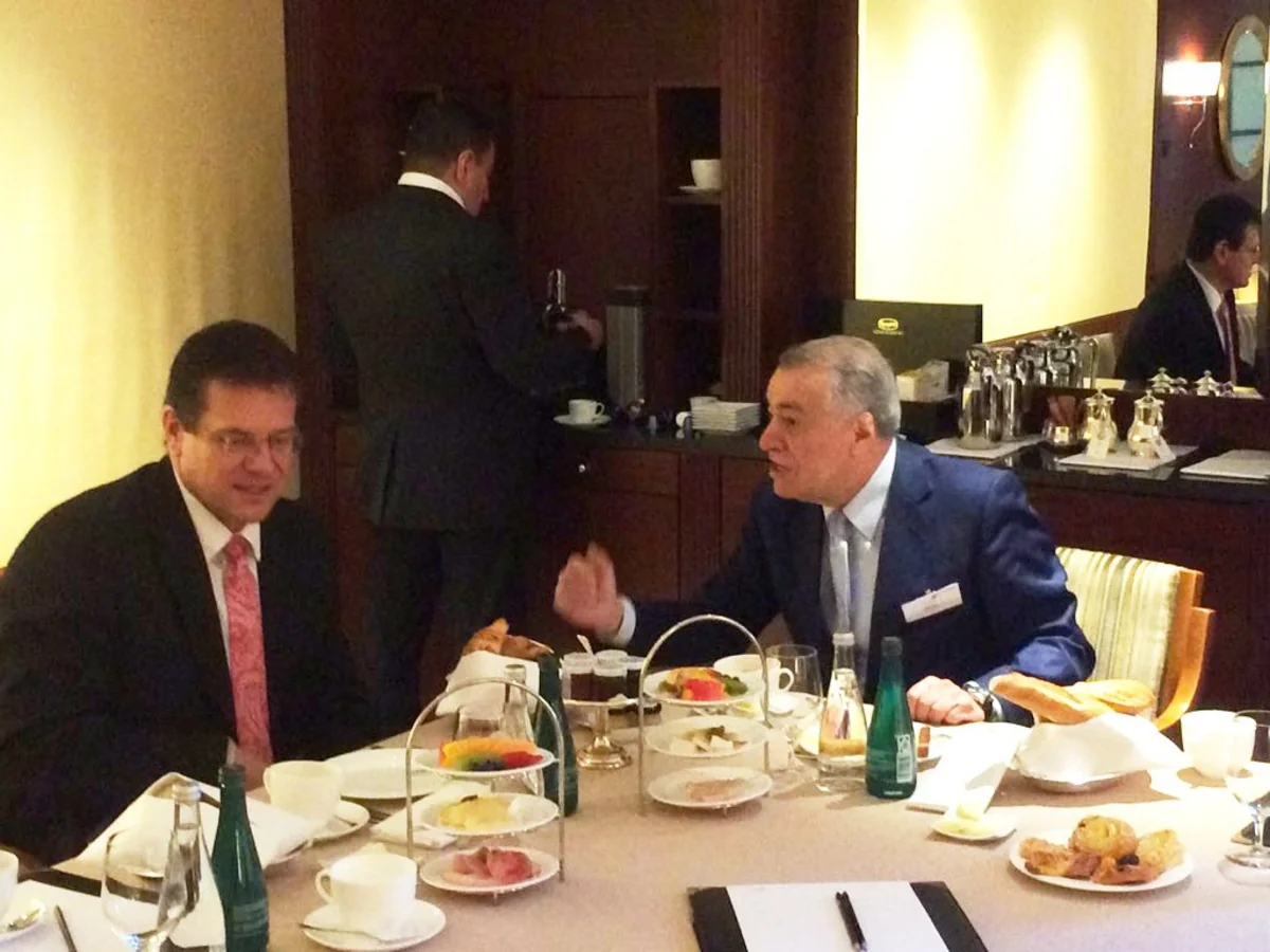 Maroş Şefçoviç Azərbaycanın energetika naziri ilə görüşüb