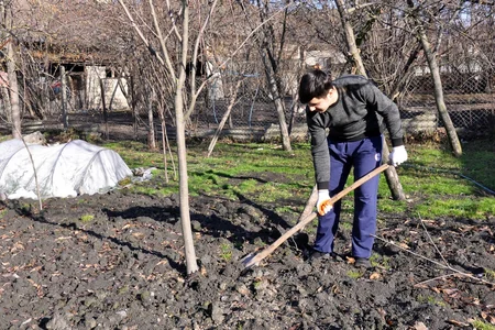 Zaqatala gəncləri növbəti dəfə “Könüllü qonaq” olublar