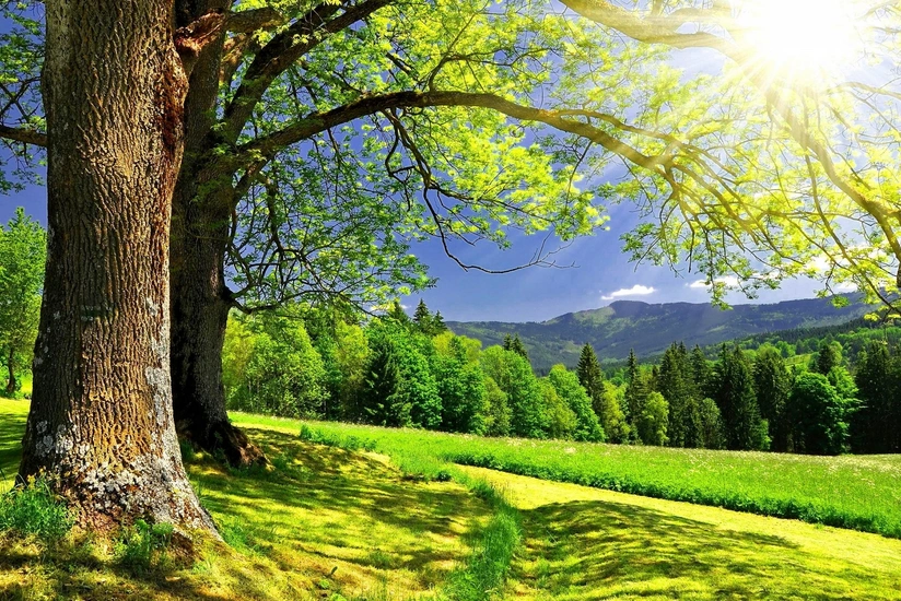 Azerbaijan weather forecast for August 18