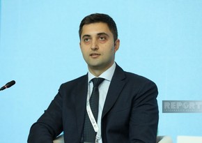 SOCAR Green: Для развития зеленой энергетики в Азербайджане требуется государственно-частное партнерство